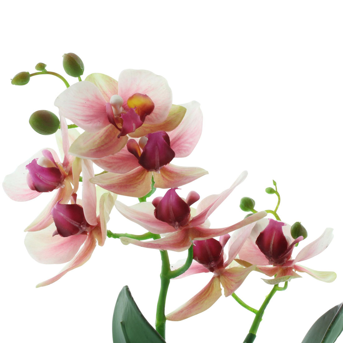 Декоративное растение "Орхидея" [07200], 