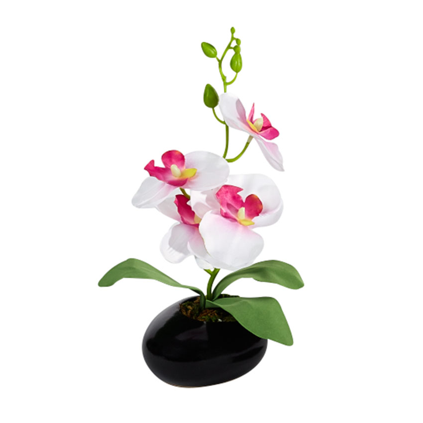Декоративное растение "Орхидея белая" [08171], 