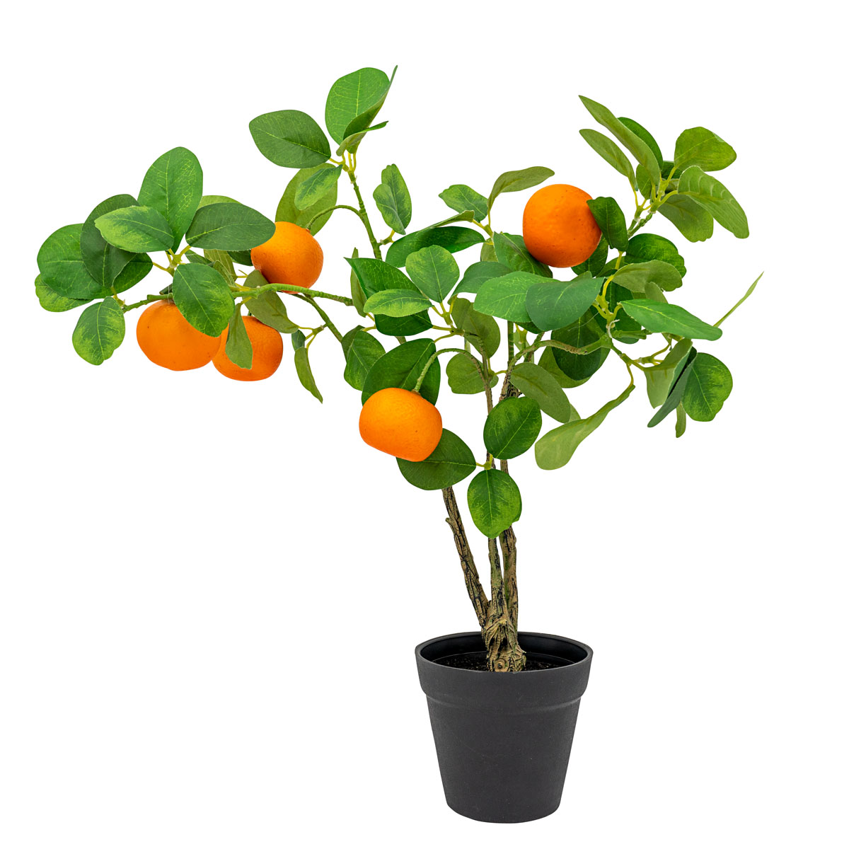 Декоративное апельсиновое дерево [08856], 