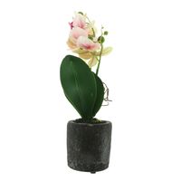 Декоративное искусственное растение "Орхидея" [07200], 