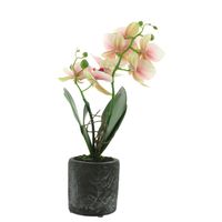 Декоративное искусственное растение "Орхидея" [07200], 