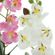 Декоративные цветы "Орхидеи", 2шт