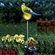 Декоративный штекер "Волнистый попугайчик" с солнечным светильником
