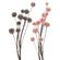 Декоративные растения " Веточки с осенними цветами", 2 штуки [06976], 