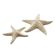 Декоративные фигуры "Морские звезды", 2 штуки [07402], 