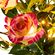 Декоративное искусственное растение "Розовый куст", со светодиодной подсветкой [07863], 