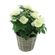 Декоративное растение "Белые розы" [08009], 