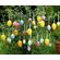 Декоративные яйца "Праздничные цвета", 36 шт