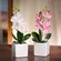 Декоративные цветы "Орхидеи", 2шт